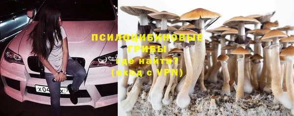 гидропоника Козельск