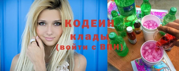дурь Алексин